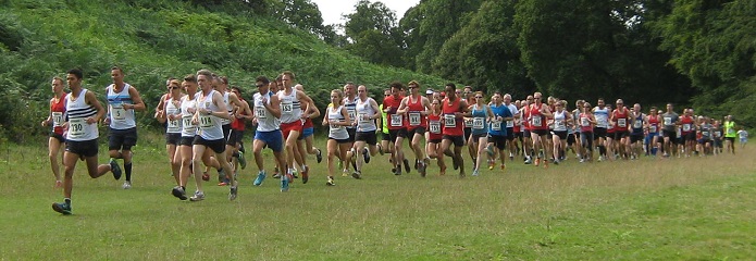 Sevenoaks 7 - 31 August 2014